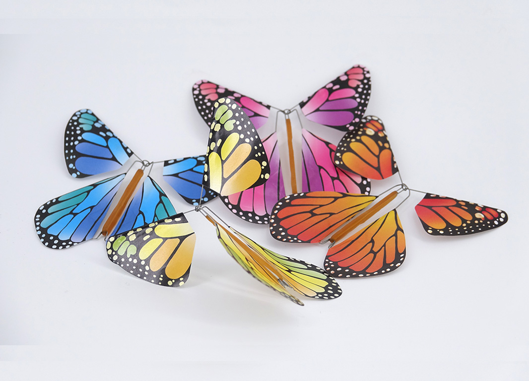 La gama Magic Butterfly New Concept