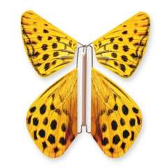 Papillon Panthère