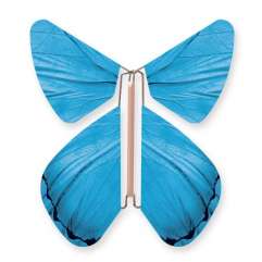 Butterfly Impulse Blue