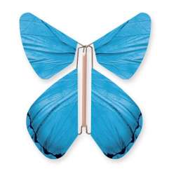 Mariposa Azul Impulsion