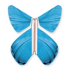 Image Papillon Magique