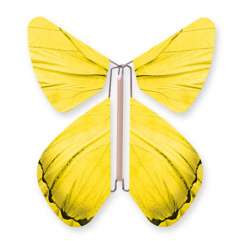 Butterfly Impulse Yellow