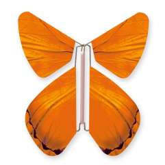 Butterfly Impulse Orange