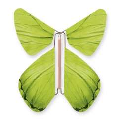 Butterfly Impulse Green