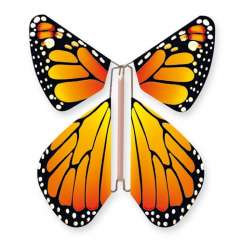 Butterfly New Concept Orange