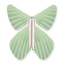 Papillon Plume Vert d'eau