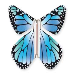 Butterfly New Concept Blue