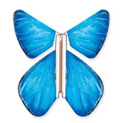 Papillon Morpho Bleu