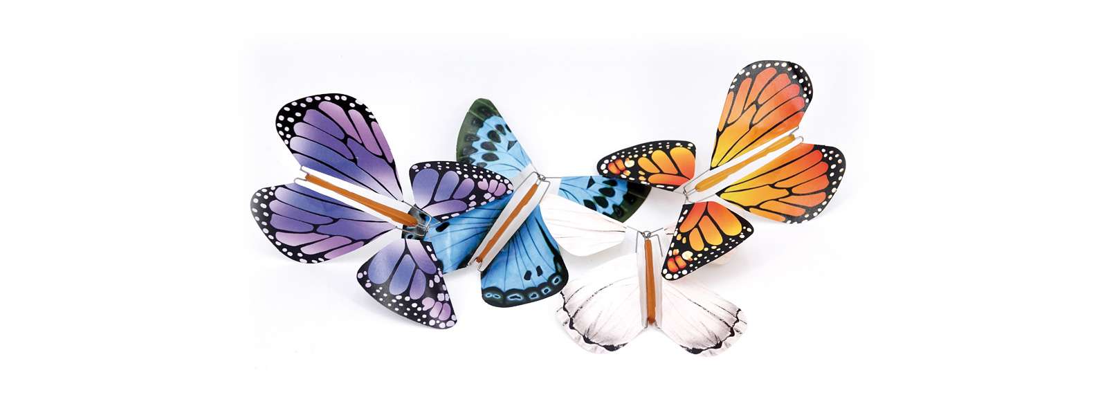 Papillons Magiques®