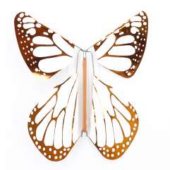 Image Papillon Magique