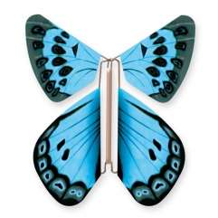 Wild Nature Butterfly Large Blue