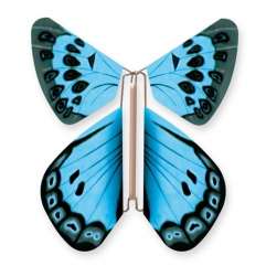 Papillon Azuré du Serpolet