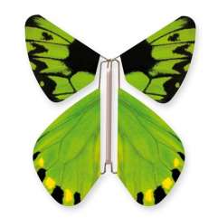 Wild Nature Butterfly Birdwing