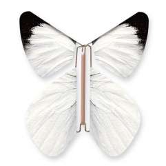 Wild Nature Butterfly White Pieride