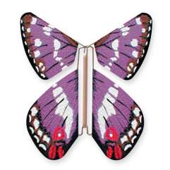 Wild Nature Butterfly Purple Emperor