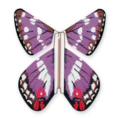 Papillon Grand Mars