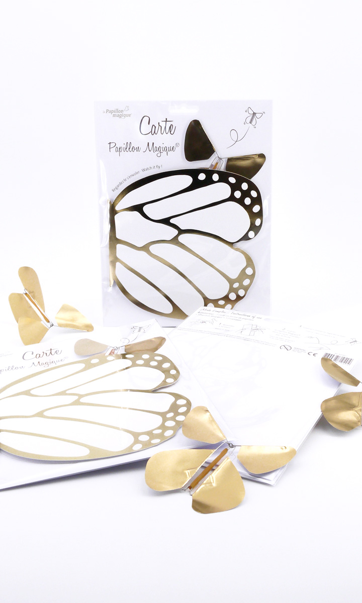 Pack de Luxe Papillon Magique