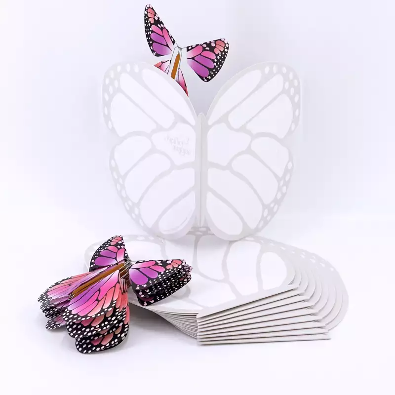 Papillons magiques pack avec cartes papillon