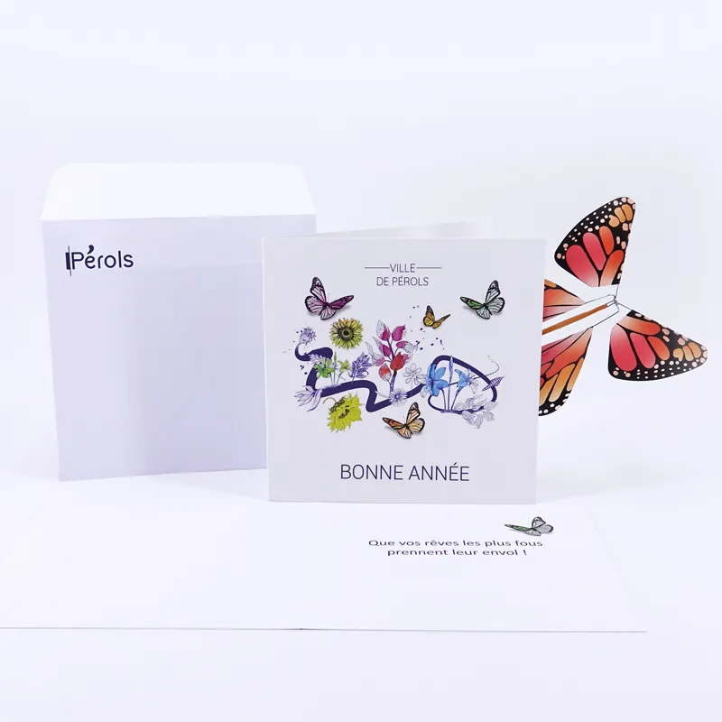 Pack-Carte-Papillon-Magique-Standard