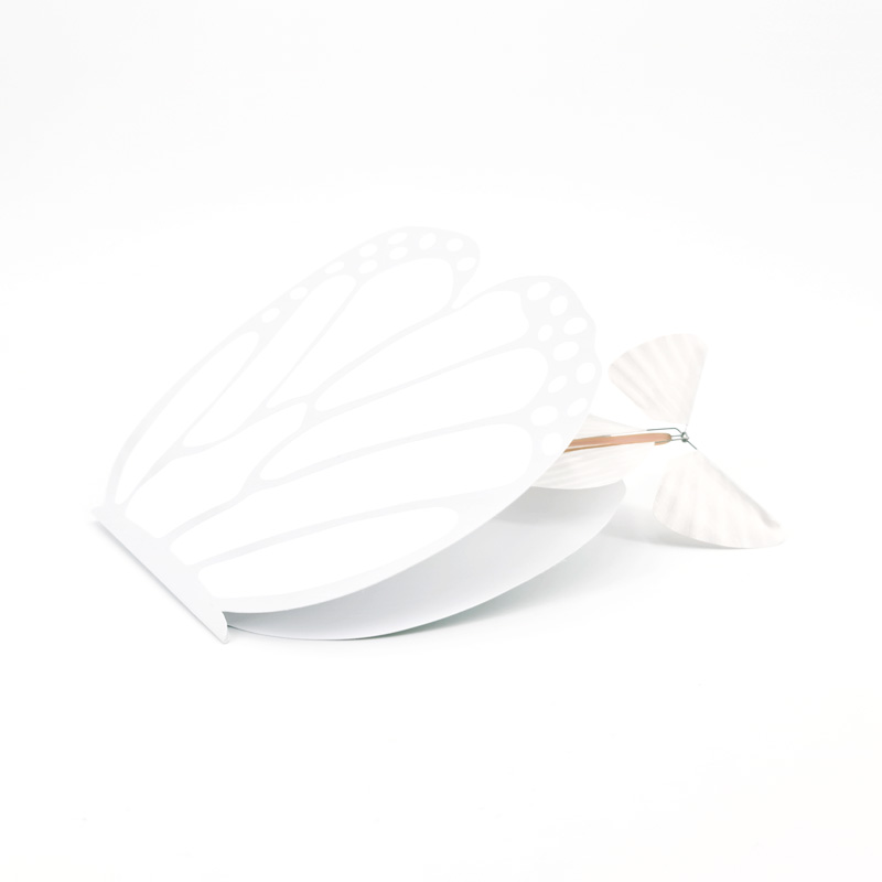 Papillons magiques toutes catégories