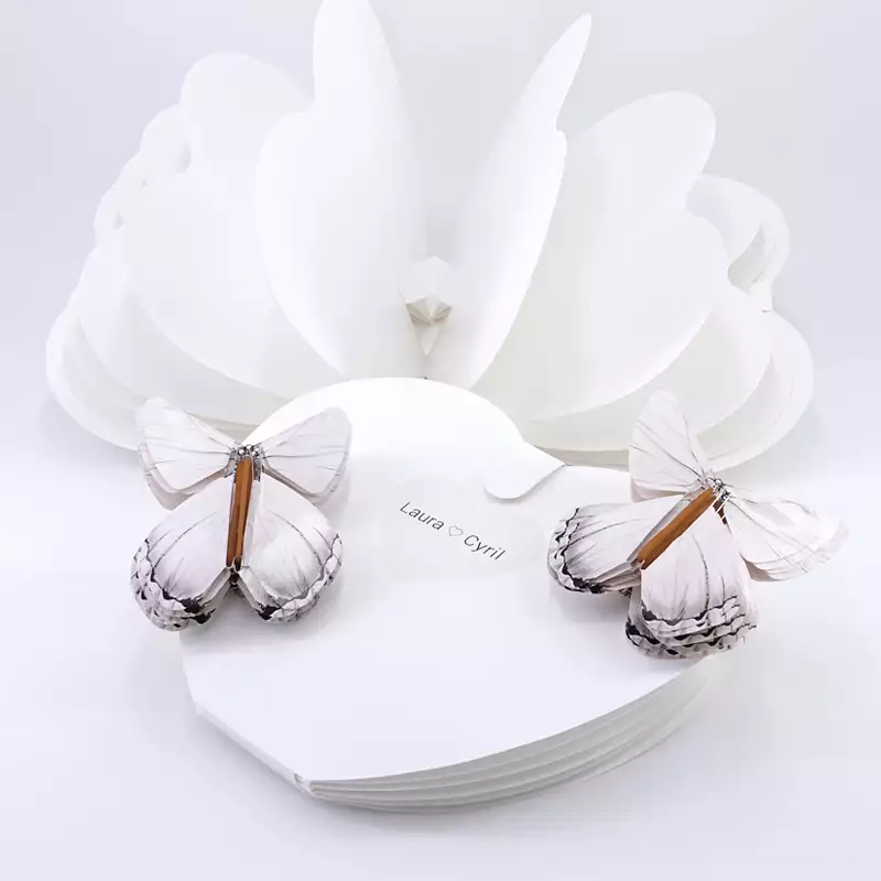 Papillons magiques pack avec livret coeur