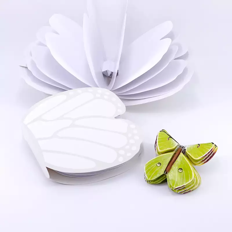 Papillons magiques pack avec livret papillon