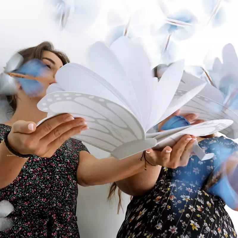 Papillons magiques pack avec livret papillon