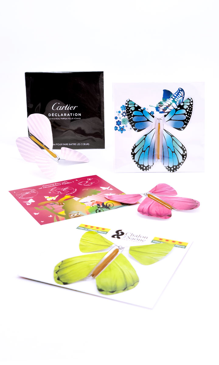 Mignonnette Papillon Magique standard