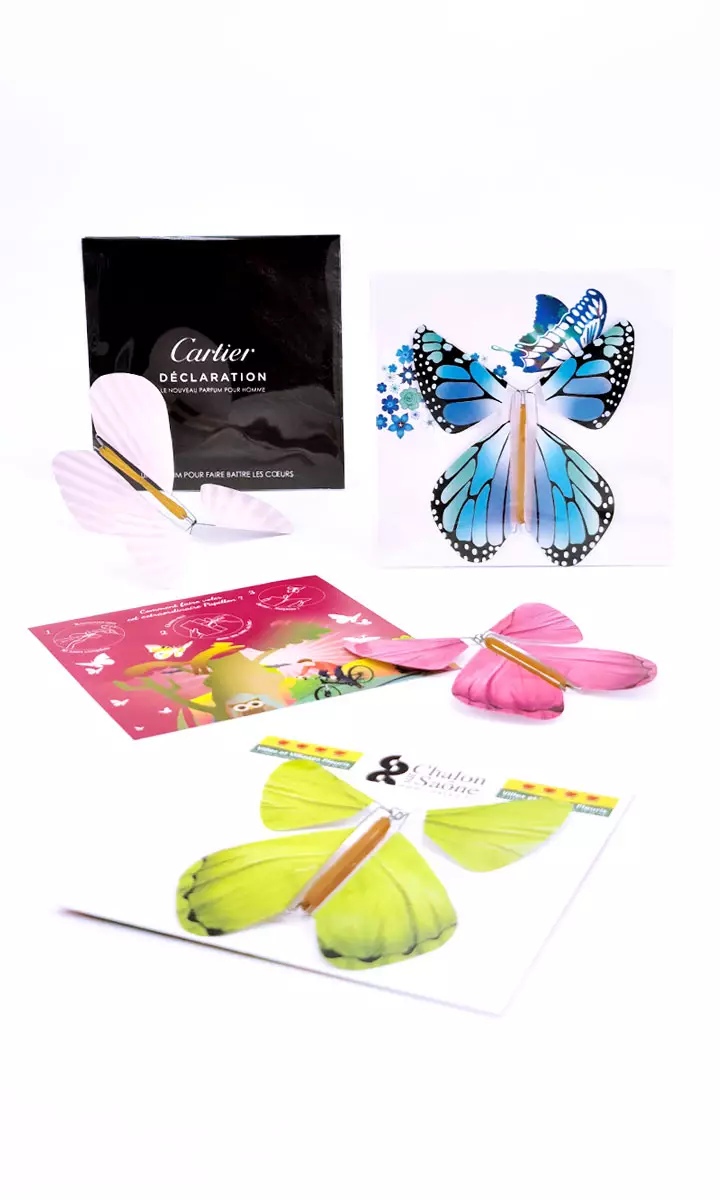 Mignonnette Papillon Magique standard