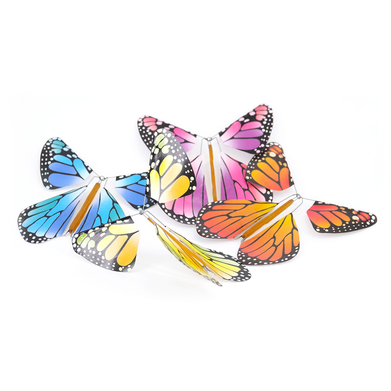 Carte Papillon