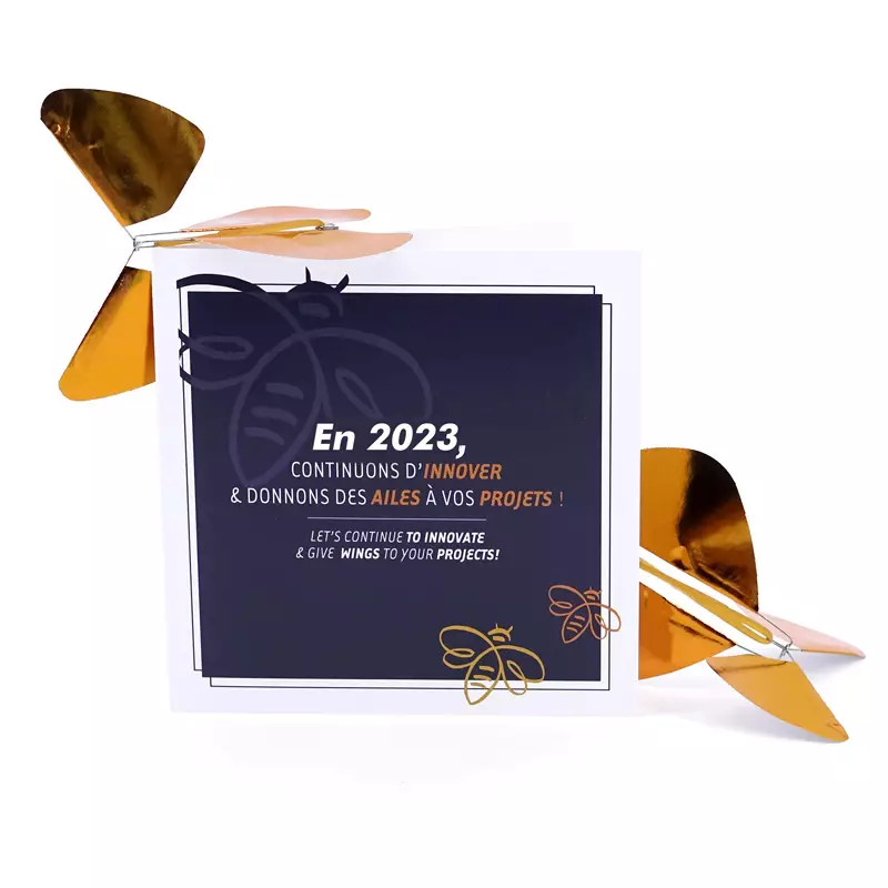 Pack-Carte-Papillon-Magique-Standard