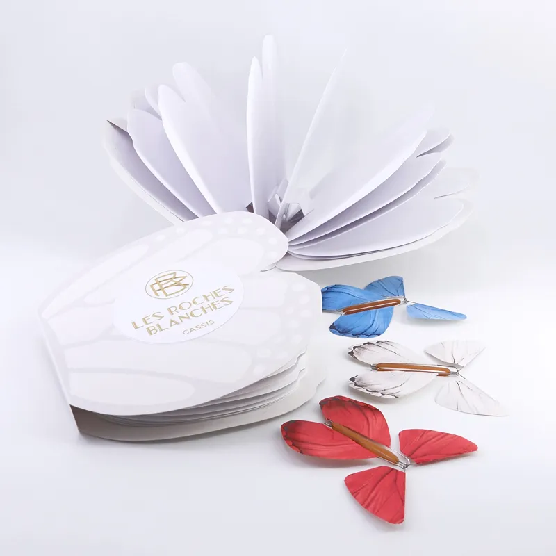 Pack-Livret-Papillon-Magique-Standard