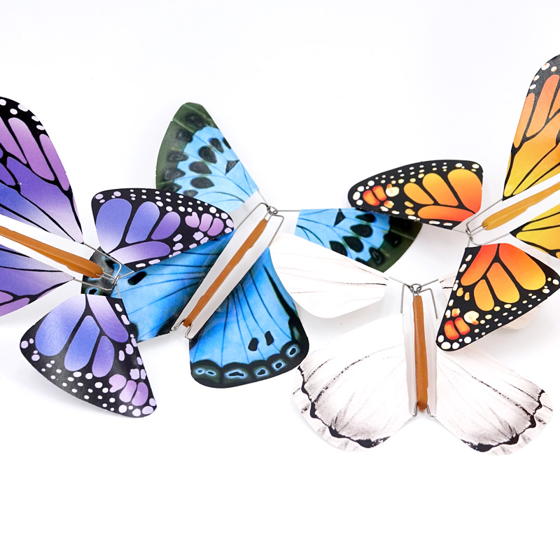 Papillons magiques toutes catégories