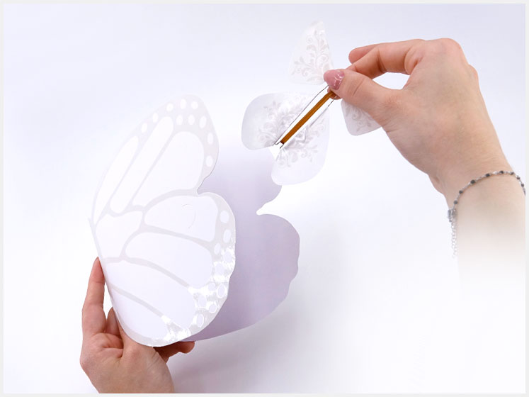 Carte Papillon Magique