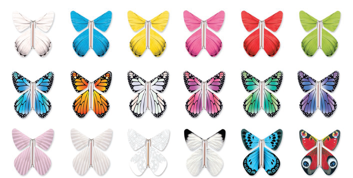 Une image des modèles de papillon