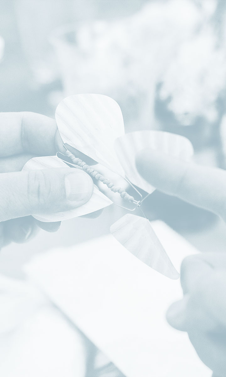 Le Papillon Magique, tout savoir sur notre entreprise